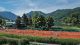 TC_Schliersee_portal