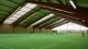 TC Raschke Halle 2