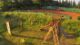 Der Spielplatz