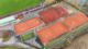 Tennisanlage des TV Königsberg