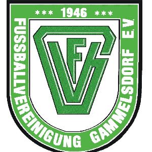 FV Gammelsdorf