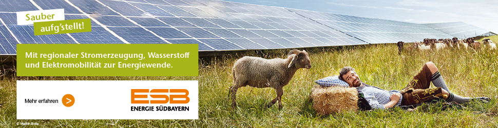 ESB_Online-Banner_BTV-Portal_03_26_970x250px2