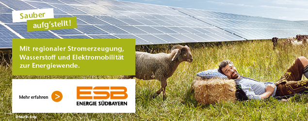 ESB_Online-Banner_BTV-Portal_03_26_635x250px2