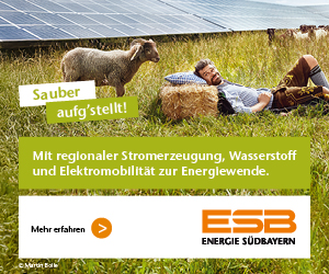 ESB_Online-Banner_BTV-Portal_03_26_300x250px2