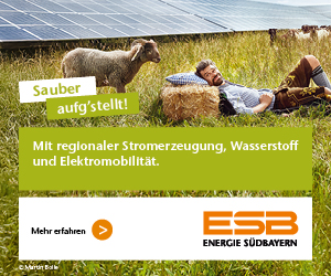 ESB_Online-Banner_BTV-Portal_03_26_300x250px2